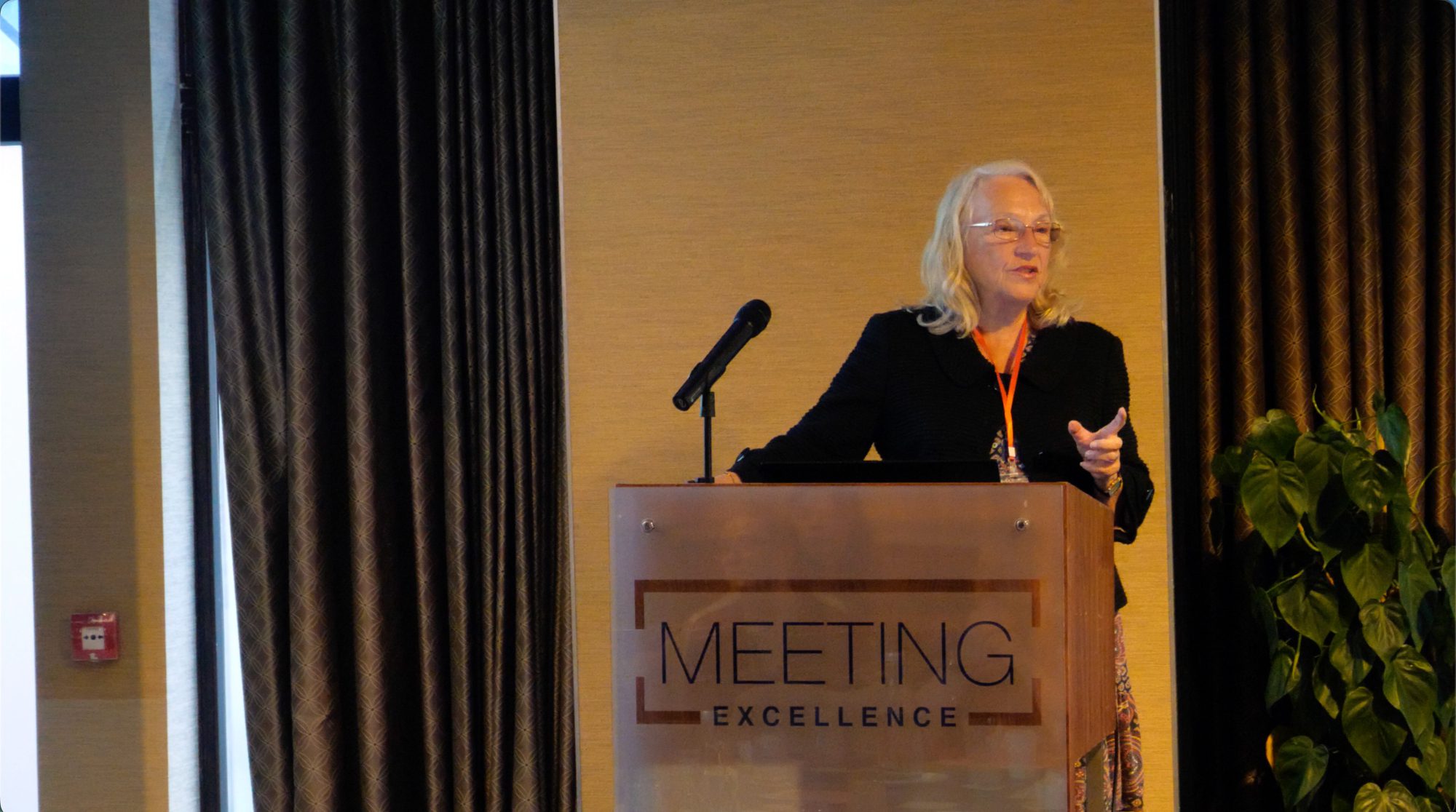 Stage14